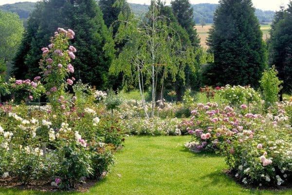 באד בלינגן Landhaus Ettenbuehl Bed And Breakfast מראה חיצוני תמונה