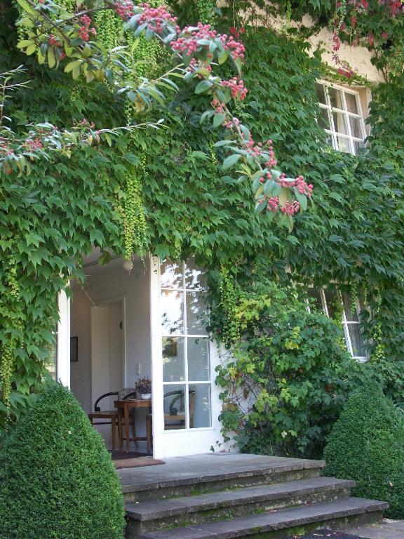 באד בלינגן Landhaus Ettenbuehl Bed And Breakfast מראה חיצוני תמונה