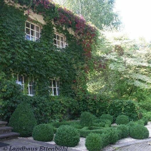 באד בלינגן Landhaus Ettenbuehl Bed And Breakfast מראה חיצוני תמונה